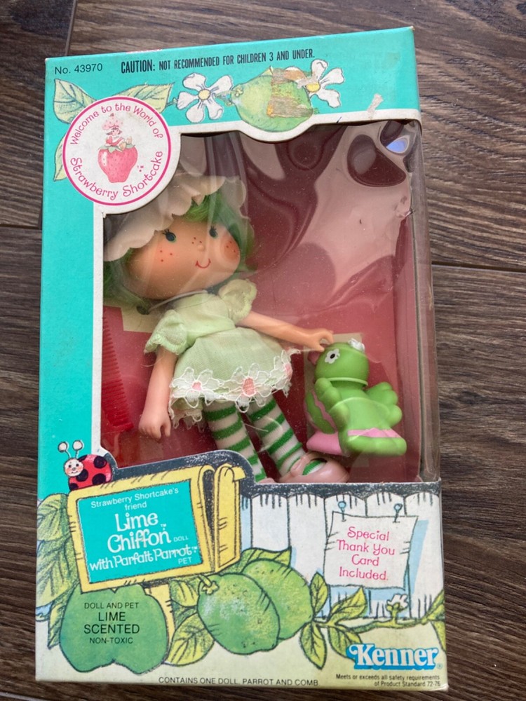 1980s Kenner Strawberry Shortcake Lime Chiffon Doll with Parfait Parrot Toy Box