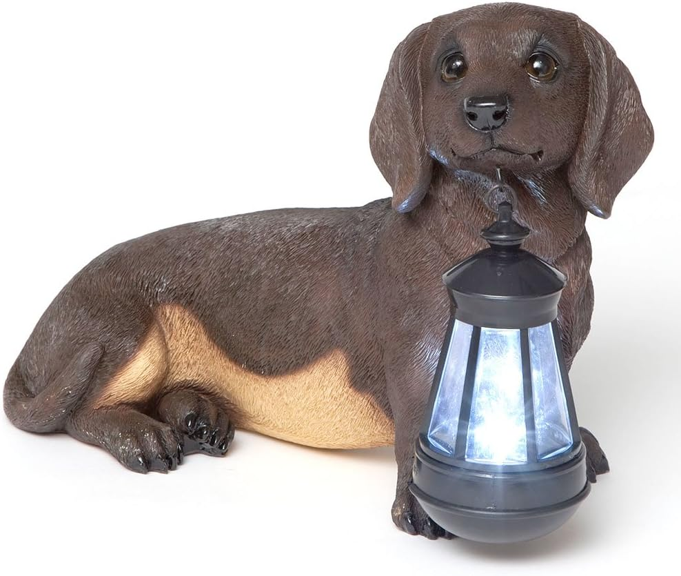 - Dachshund Solar Lantern Statue - Solar Powered Garden Lantern - Resin Dog Scul