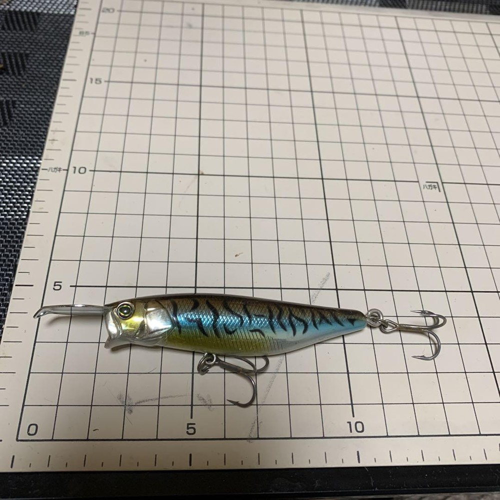 Topwater Fishing Lure Riserbait for Effective Surface Action
