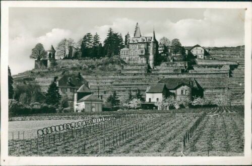 Postcard Haardt near Neustadt wine route Bürgergarten (No.9579)