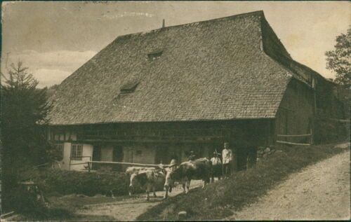 Postcard Black Forest Farm near Furtwangen 1920 Team (9846)