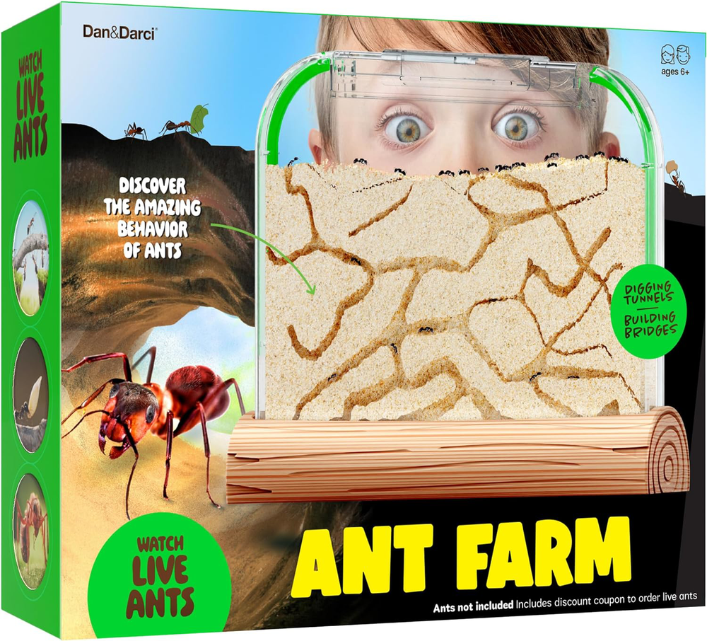 Ant Farm Kit for Kids - Ants Farms Colony - Sand Habitat Kits - Bug Terrarium -