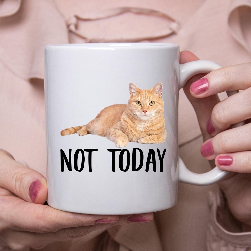 Funny Tabby Cat Orange Not Today Cat Mug Lazy Gift For Cats Lovers Coffee Mug