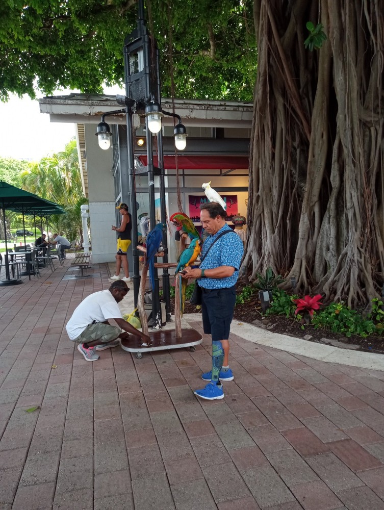 Professional Photography Services for Stunning Visuals