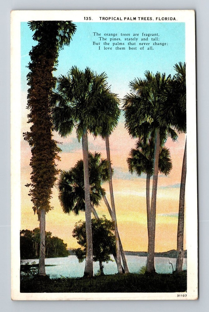 FL-Florida, Tropical Palm Trees, Poem, Vintage Postcard
