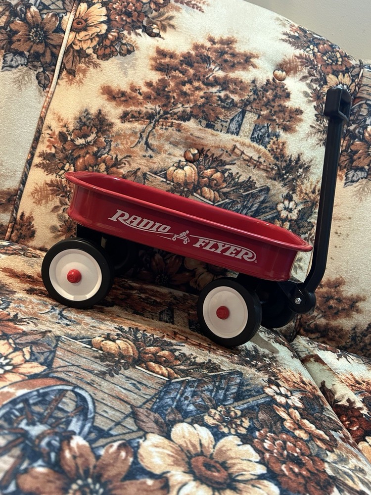 Radio Flyer Classic Red Wagon Kids Toy Pull Handle Metal Steel