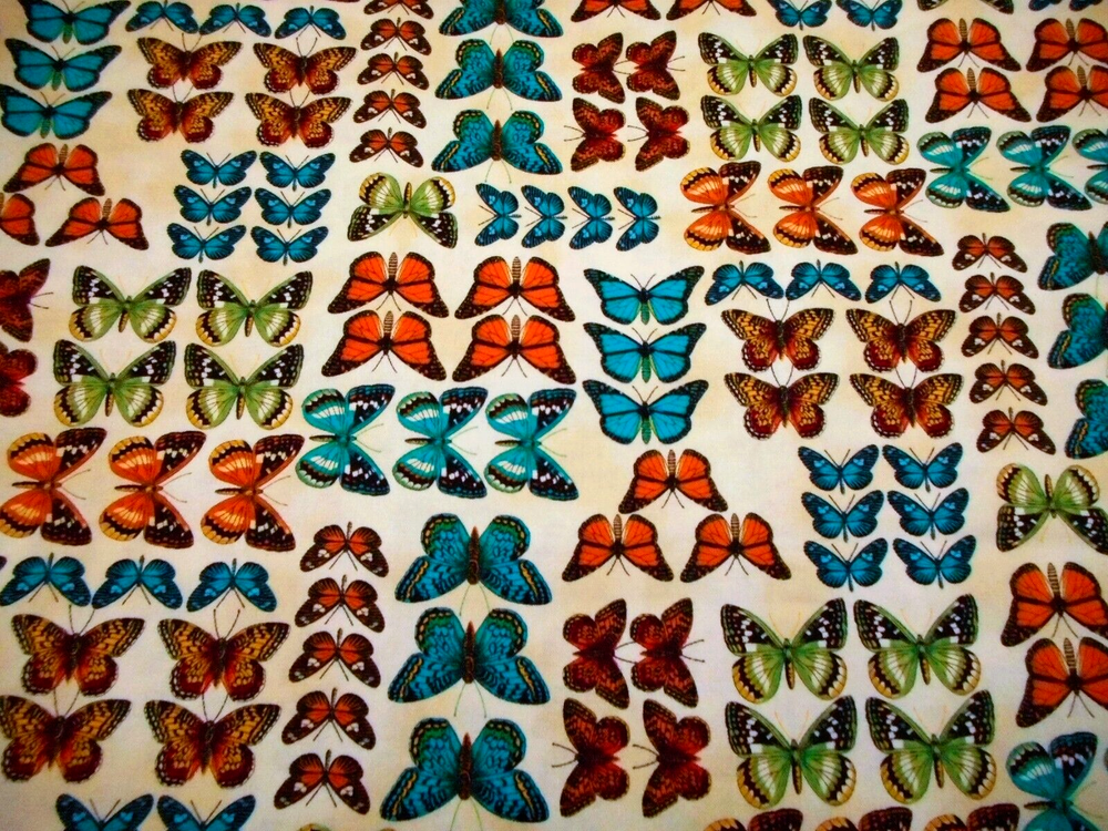 Cotton Fabric 1 1/4 Yard Turquoise Green Orange Black Butterfly Cream TT #PC
