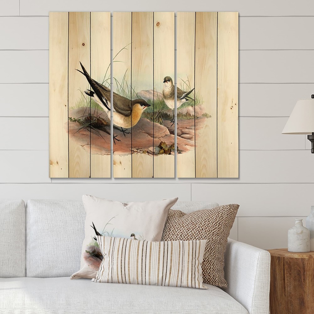Designart 'Vintage Bird Illustration II' Farmhouse Print on