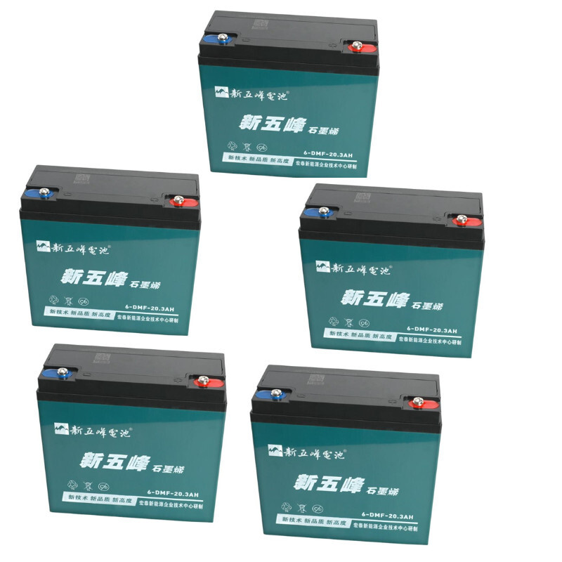 5pc 12V 20Ah 6-DZM-20 Battery for 60V Go Kart Mobility ATV Golf Cart UTV