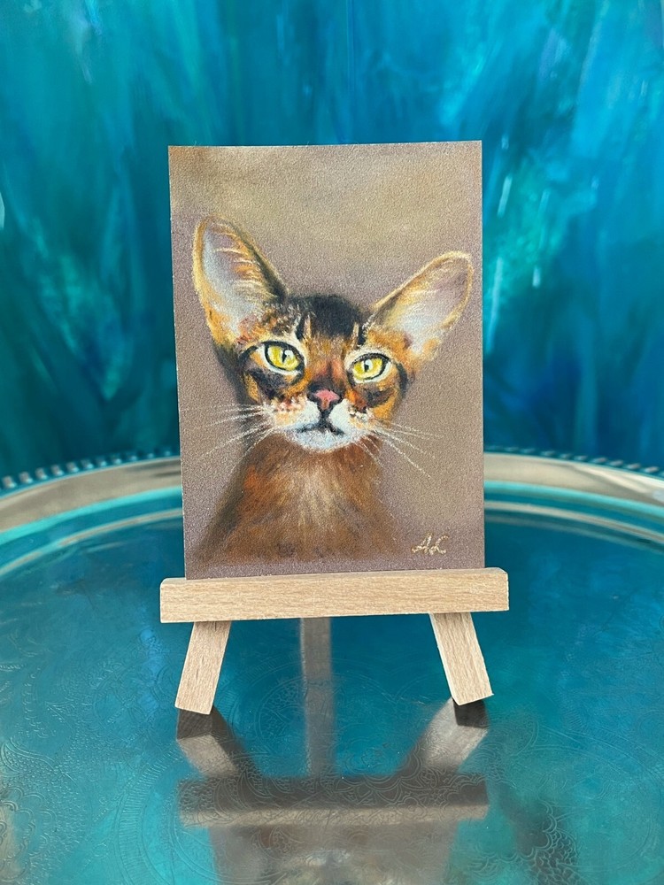Original Pastel ACEO Abyssinian Cat Art by Professional Artist