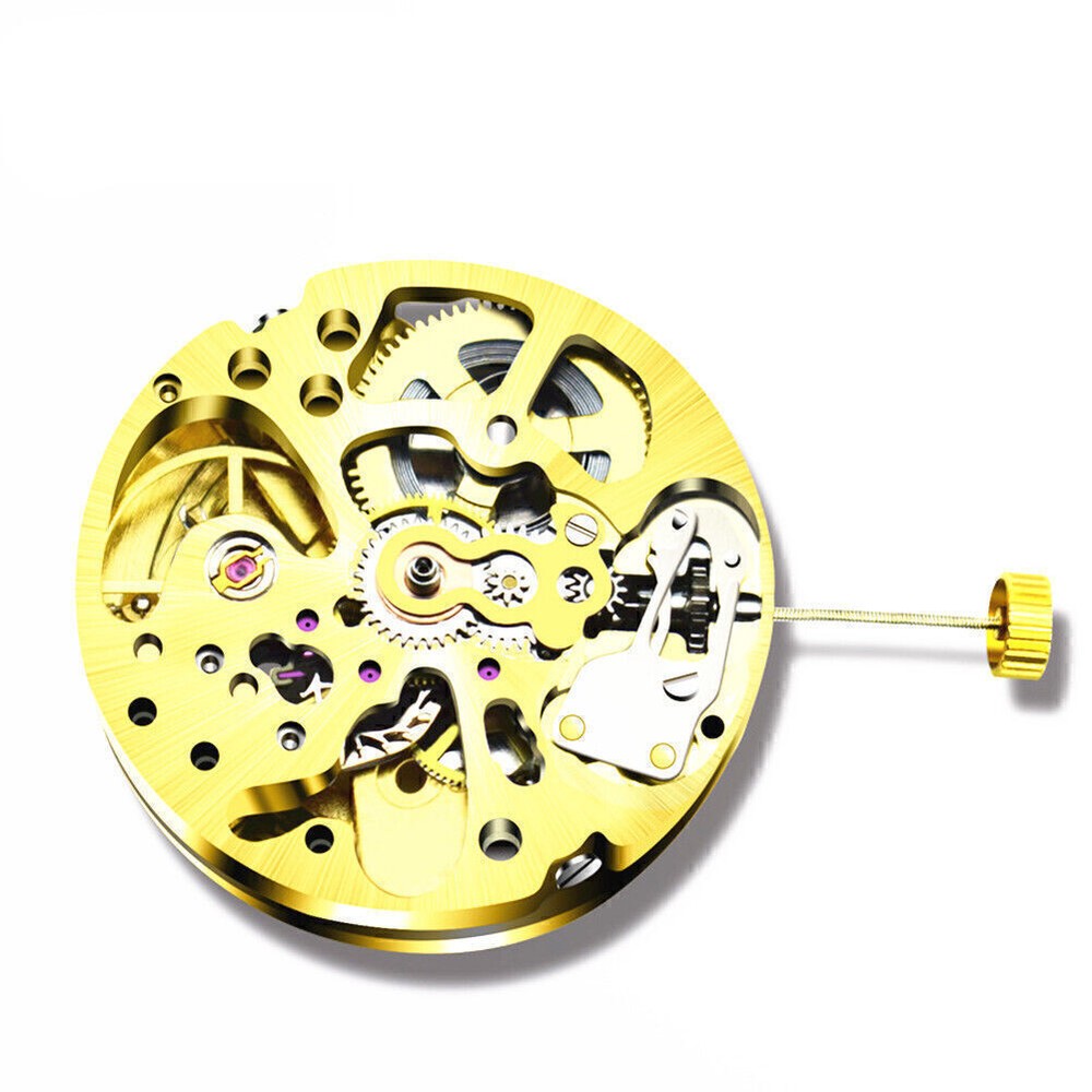 Skeleton 2004 Adjustment Radiation Pattern Automatic Watch Movement 2 Time Zones