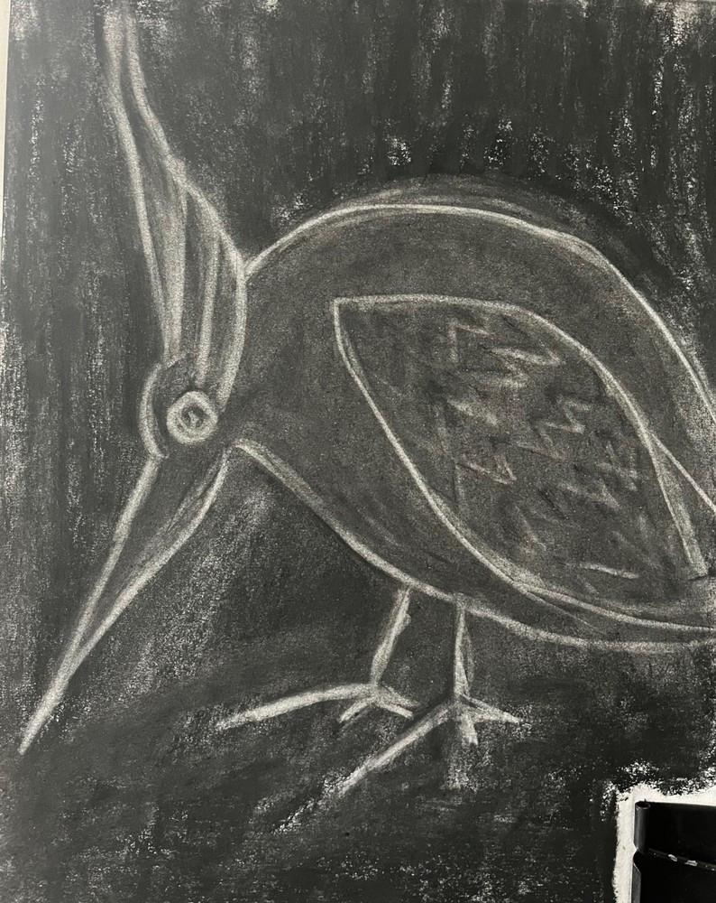 Original charcoal sketches, Art, drawings. 9 inch x 12 inch