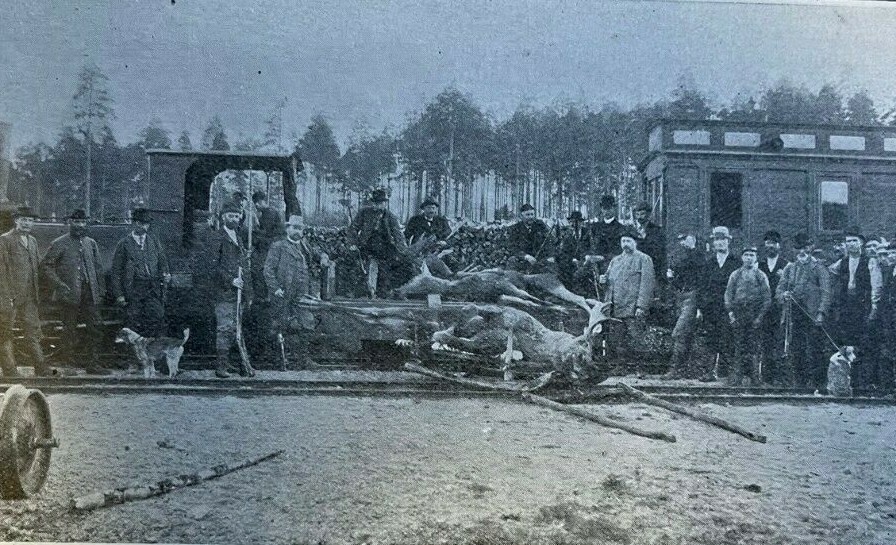 1908 Elk Hunting in Sweden illustrated