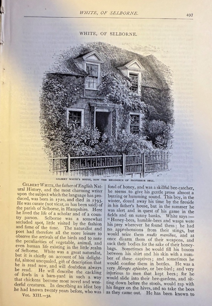 1877 Gilbert White English Naturalist From Selborne illustrated