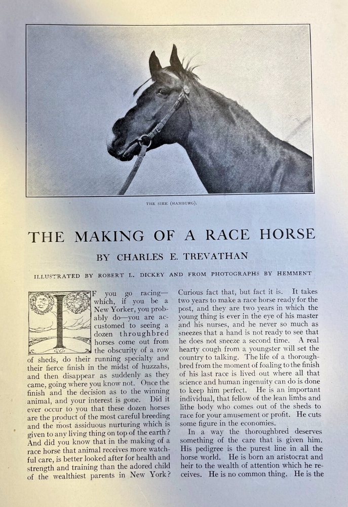 1905 Horse Racing Training Race Horses illustrated