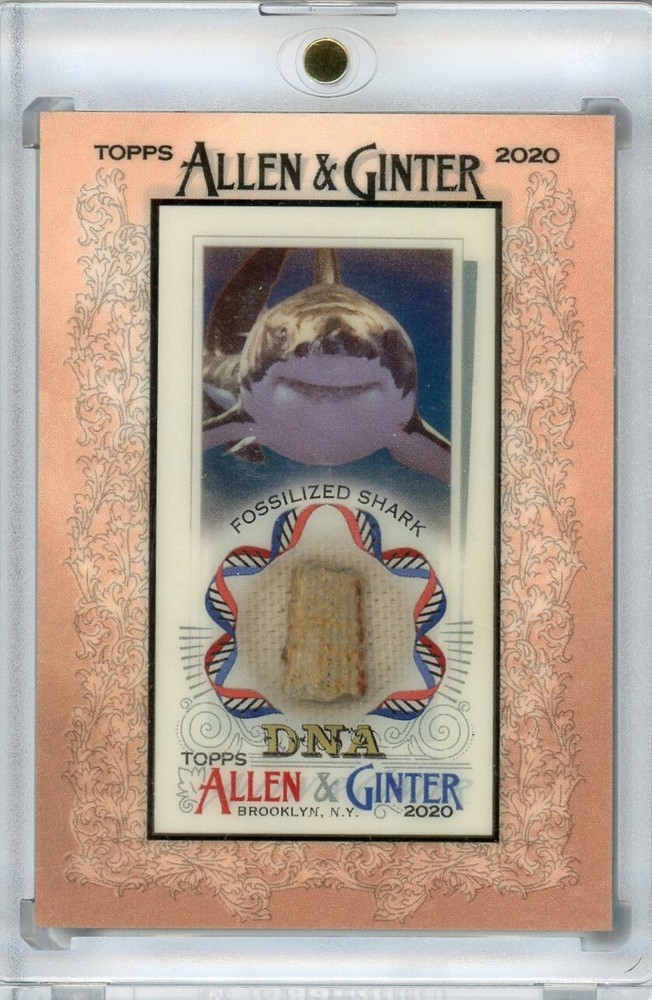 FOSSILIZED SHARK 2020 Topps Allen & Ginter DNA Fossil Relic MDNAR-FSH # 23/25