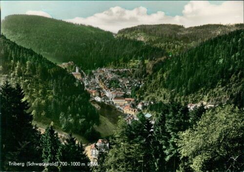Ansichtskarte Triberg Schwarzwald  (9959)