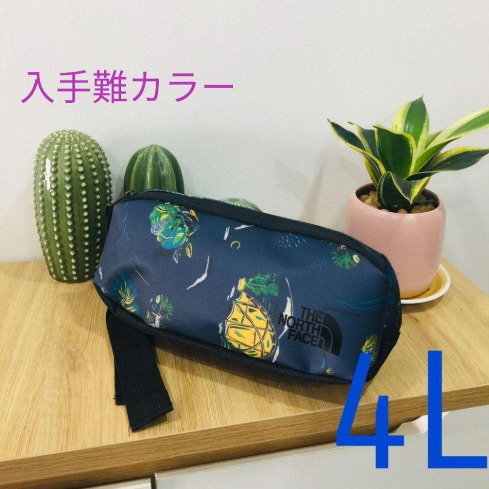 The North Face 4L Color Waist Bag - Stylish Durable & Popular Design