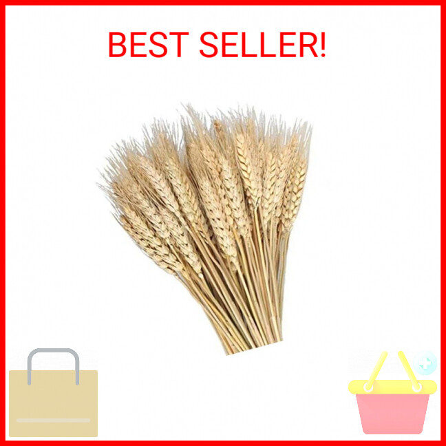 100 Pcs Dried Wheat Sheaves Bundle Golden Natural Wheat Bouquet Bunch Dried Flow