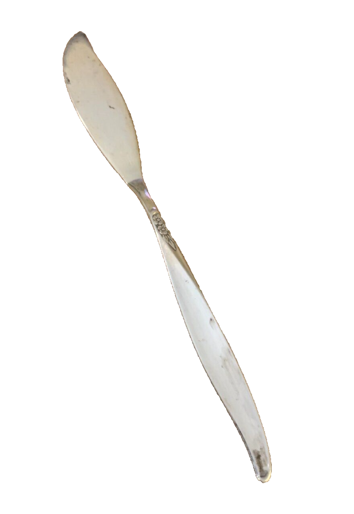 Flat Handle Butter Knife by Winsome Oneida Community 1959 Silver Plated