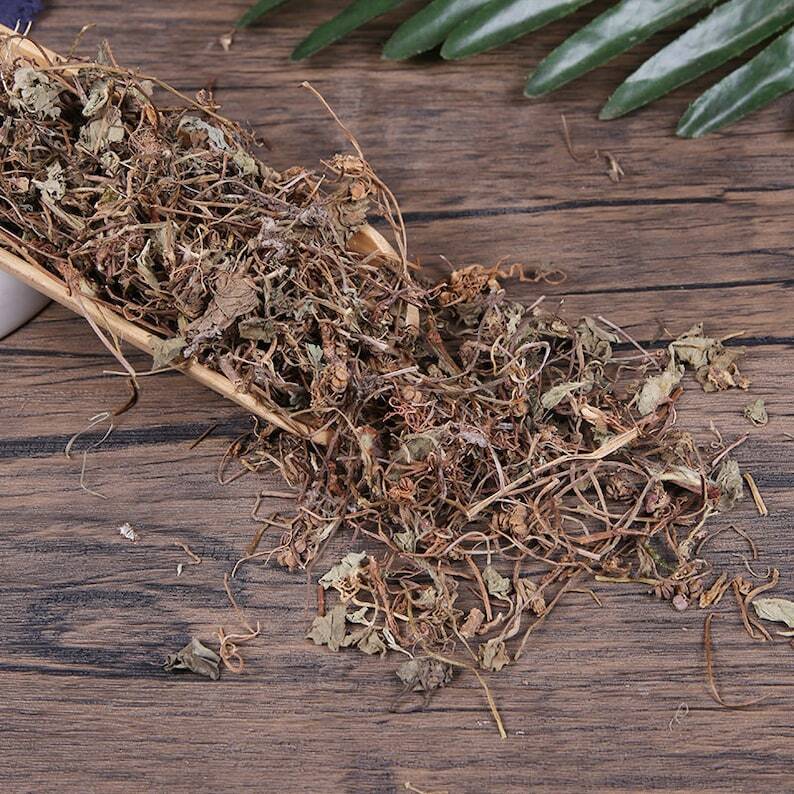 Organic Herbal Centellae Pennywort Herb Centella Asiatica Jixuecao Great Quality
