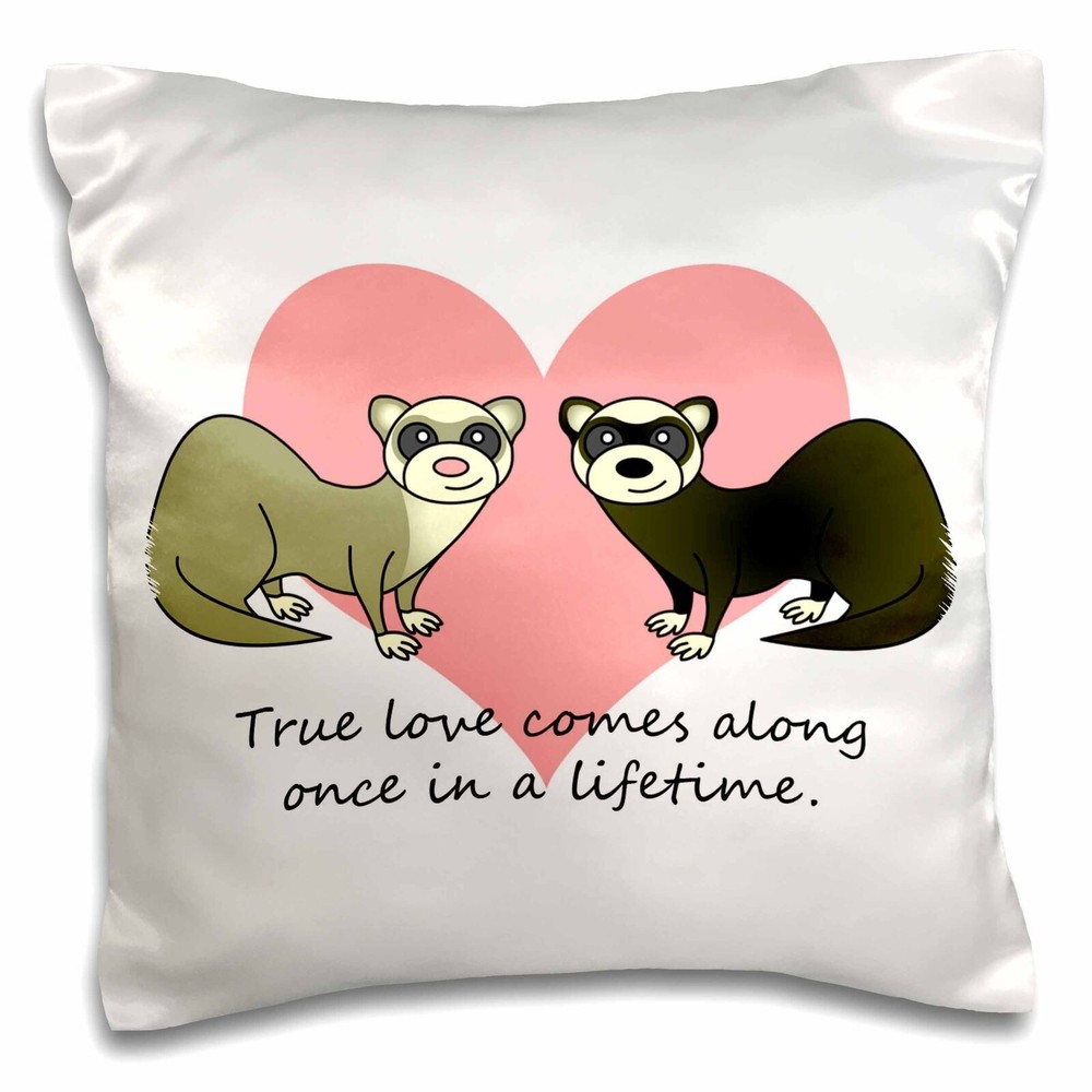 3dRose True Love Comes Along Once in a Lifetime Cute Ferret Love Design 16x16 in