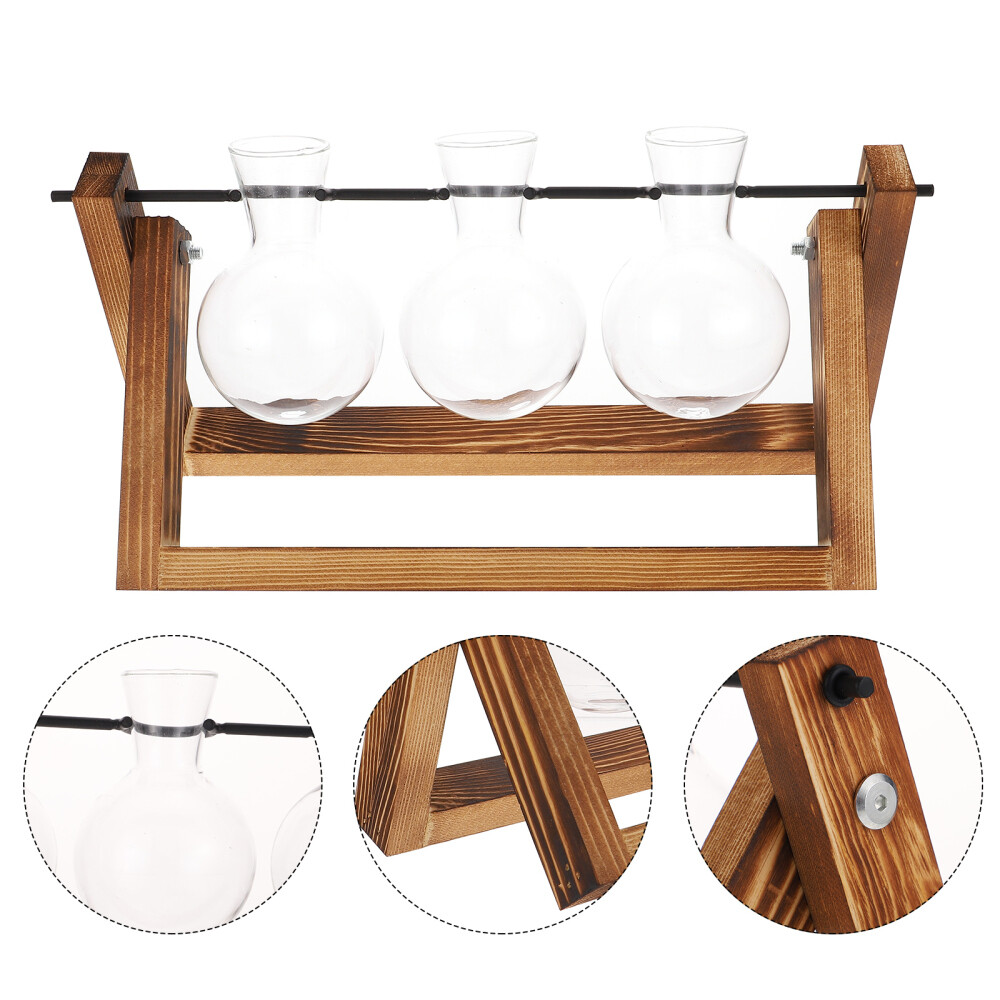 Eco-Friendly Green Plant Terrarium for Stylish Home Decor