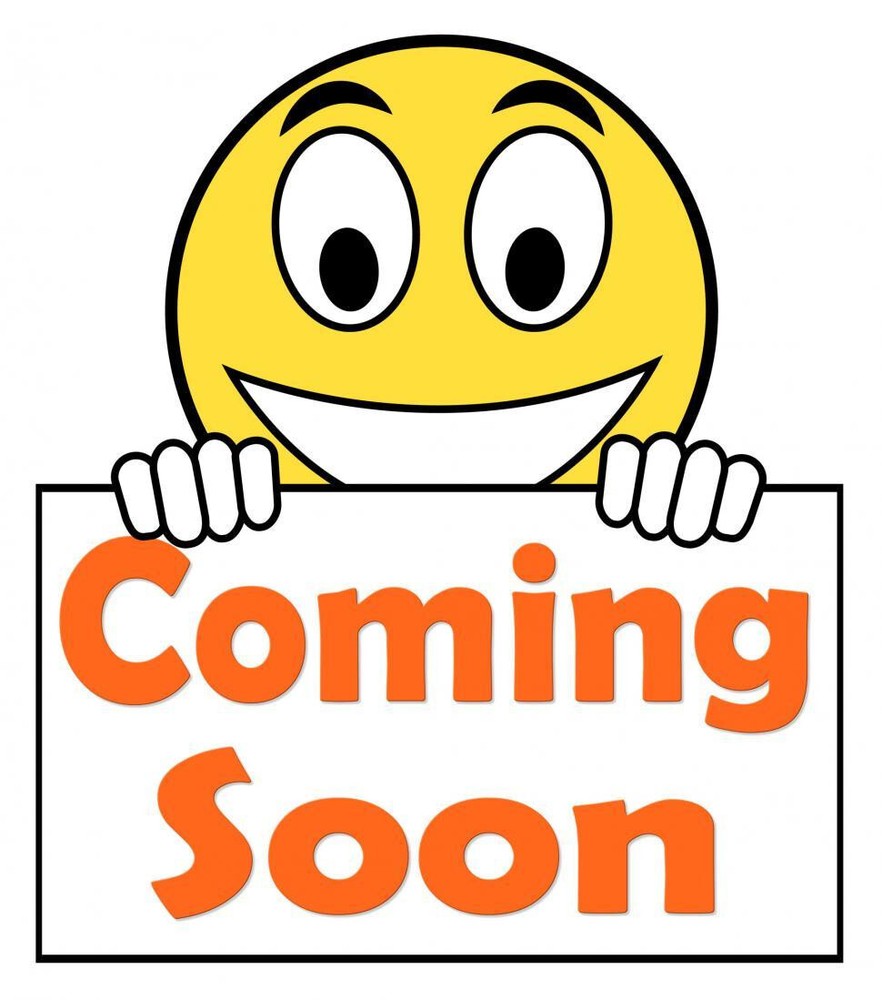 1993-2002 PONTIAC FIREBIRD RIGHT W6S TAILLIGHT TAIL LIGHT LAMP HONEYCOMB OEM