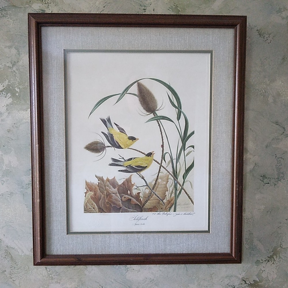 John A. Ruthven, Goldfinch-Large Signed 360/600 Glass Framed Lithograph