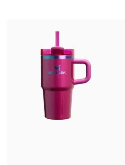 Valentines Day 20oz FlowState Tumbler with Handle for Hydration