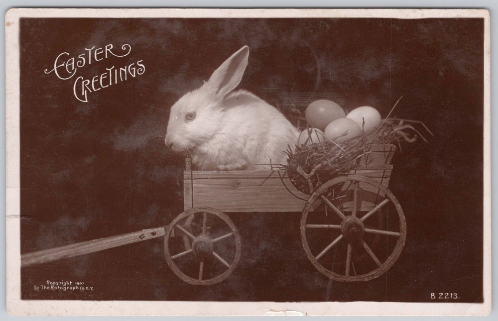 Easter Greetings Real Photo Postcard RPPC Rabbit Eggs