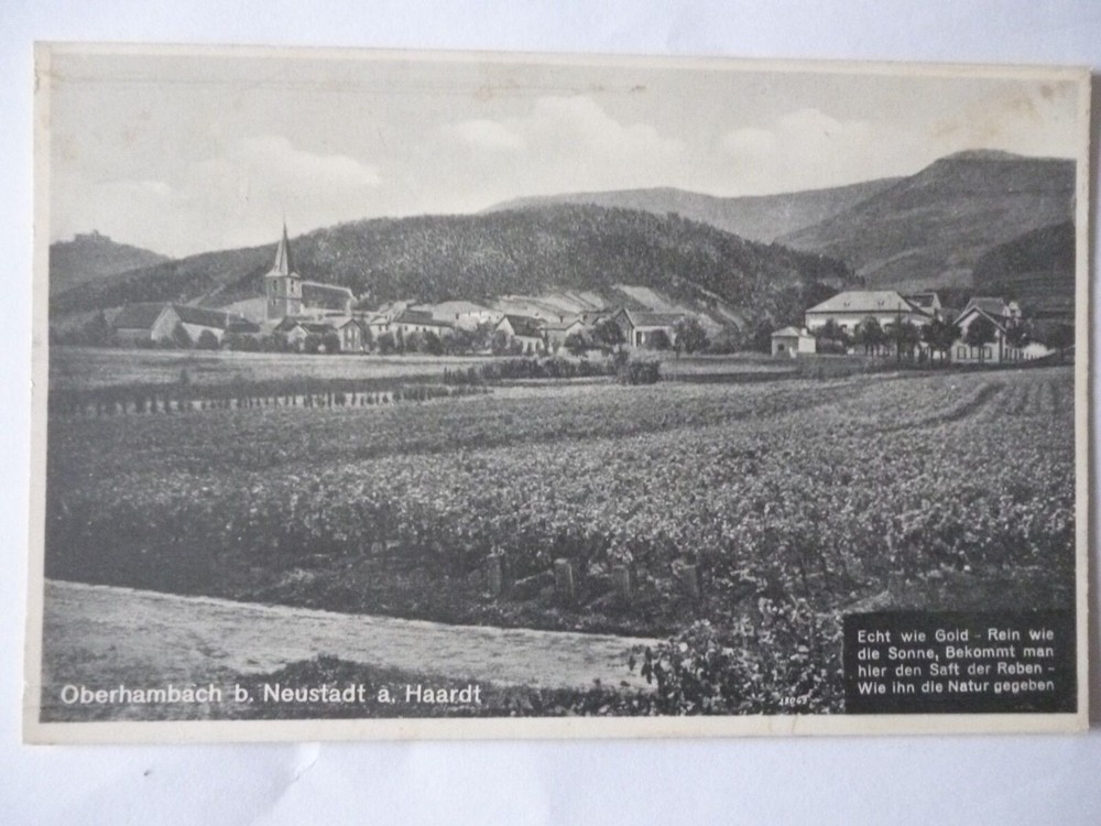 Postcard Oberhambach near Neustadt a. Haardt