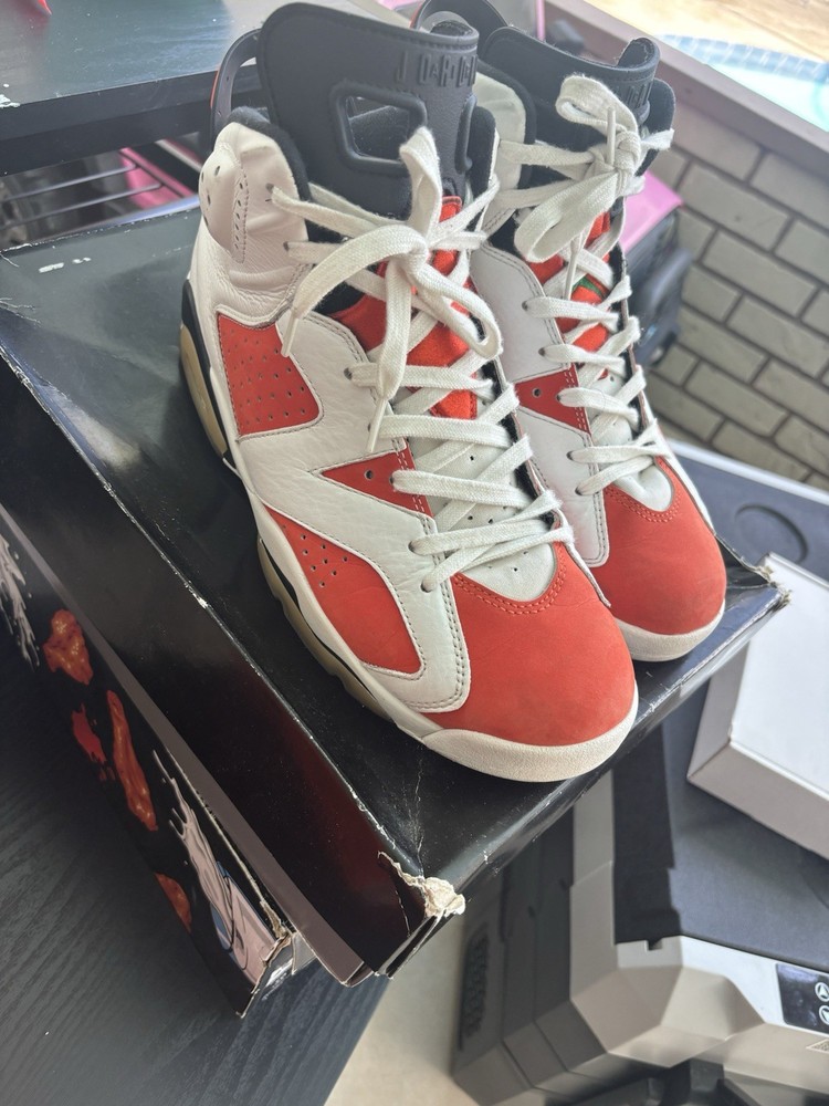 Jordan 6s