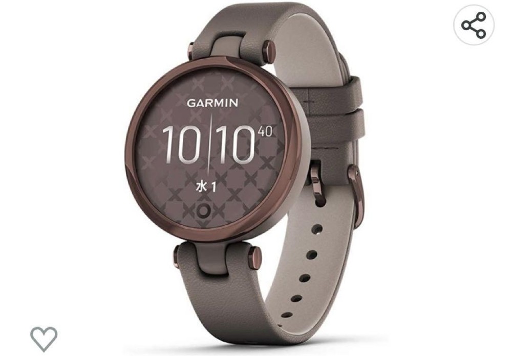Garmin Lily Stylish Smartwatch with Health Tracking Features