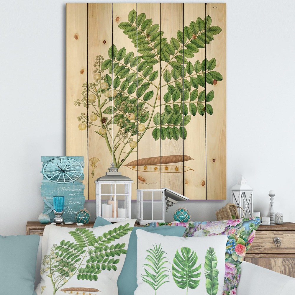 Designart 'Vintage Botanicals VII' Farmhouse Print on