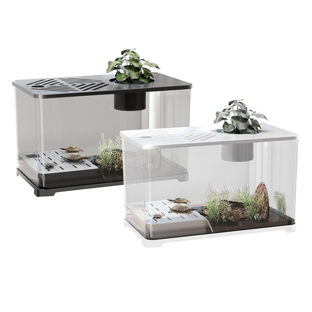 Large Modern Desktop Aquarium Kit with Popular Design