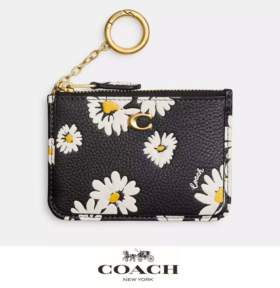 NWT Coach Mini Skinny ID Case Daisy Floral Print Brass Black Multi CS040