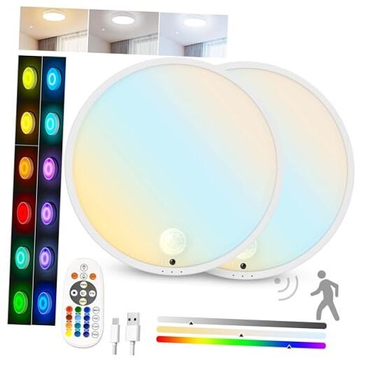 2Pack Motion Sensor Ceiling Light, Rechargeable Battery Powered LED Ceiling