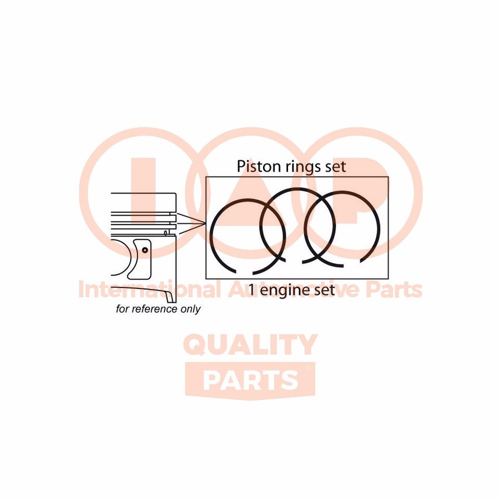 IAP QUALITY PARTS Elastic Band Kit 102-06013 for Honda