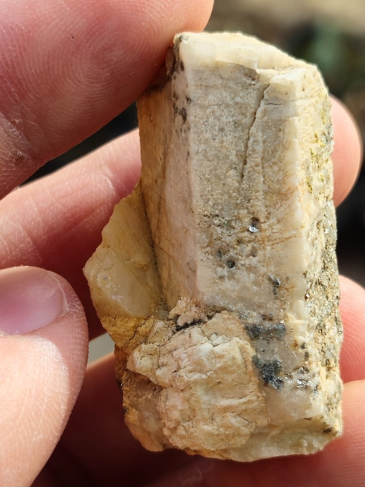 Orthoclase Feldspar Crystal Specimen From San Diego Mountains California-image