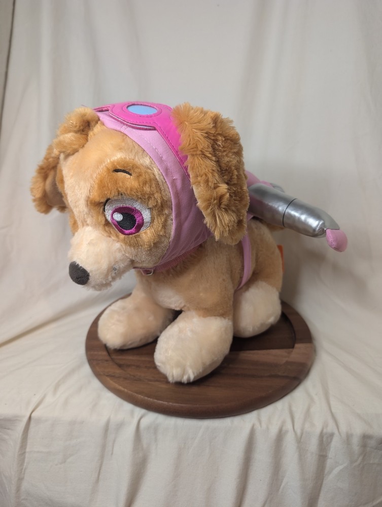 Paw Patrol Skye 10