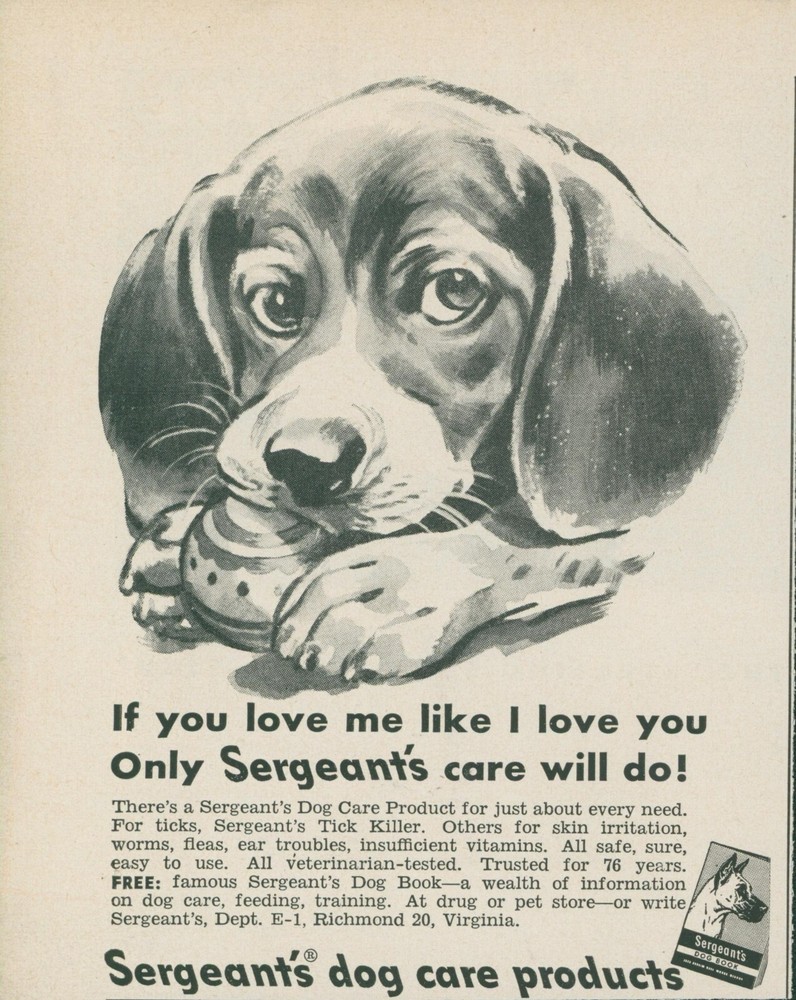 1951 Vintage Beagle Ball Dog Care Ad by Sergeants Products Retro Print BH1