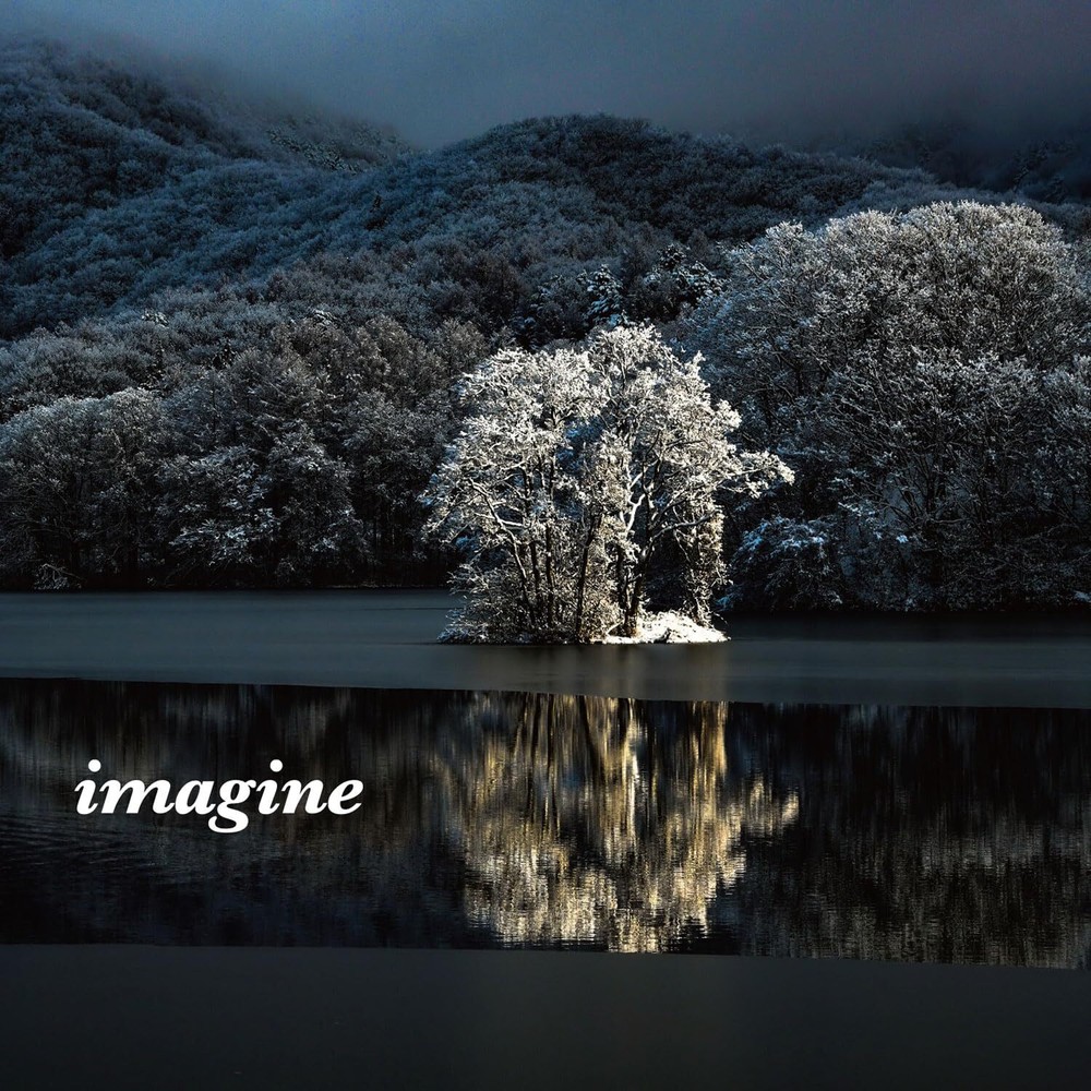 Kazunari Uchida Photo Collection Art Book imagine from Japan
