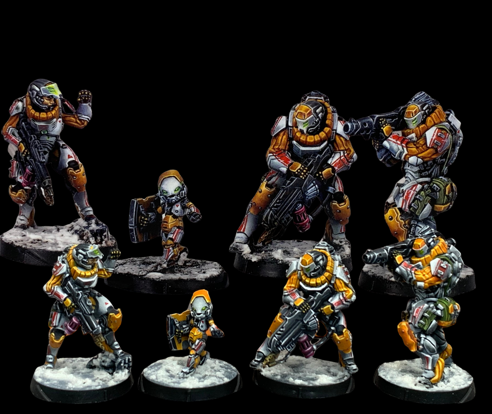 Infinity 0897 Yu Jing Jujak Regiment pro Painted Gallery Army