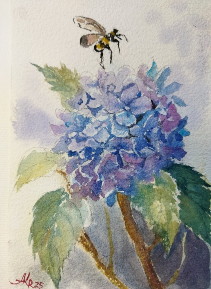 Hydrangeas Small Watercolor Painting Original Floral Art Blue Flowers 5x7 In