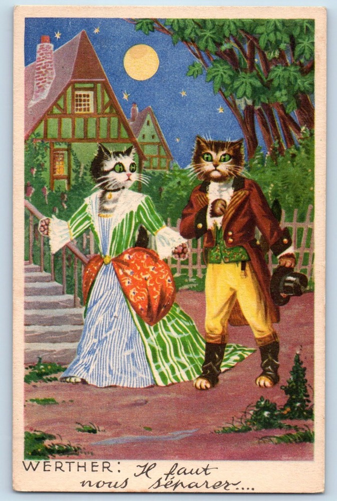 France Postcard Werther Anthropomorphic Cat House Full Moon Unposted Vintage