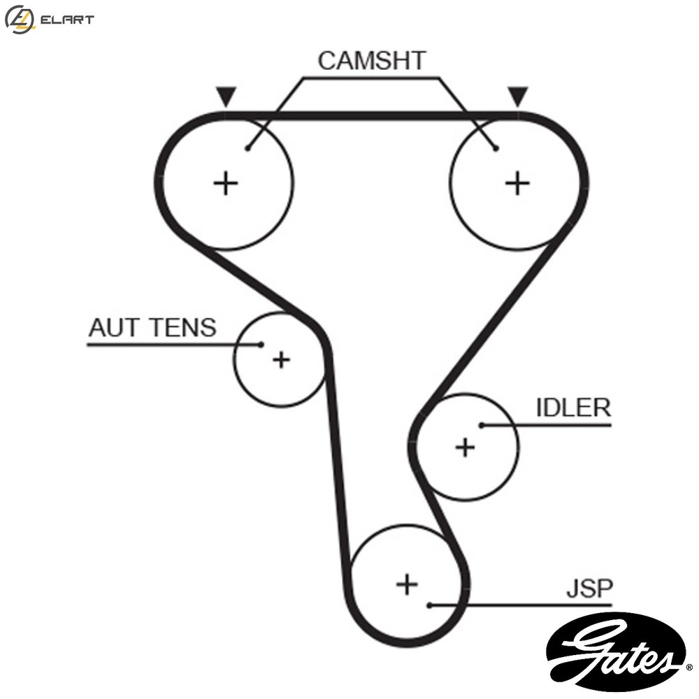 TIMING BELT 5573XS FOR RENAULT MASTER/II/Platform/Chassis/Van/Bus LAGUNA/Sport