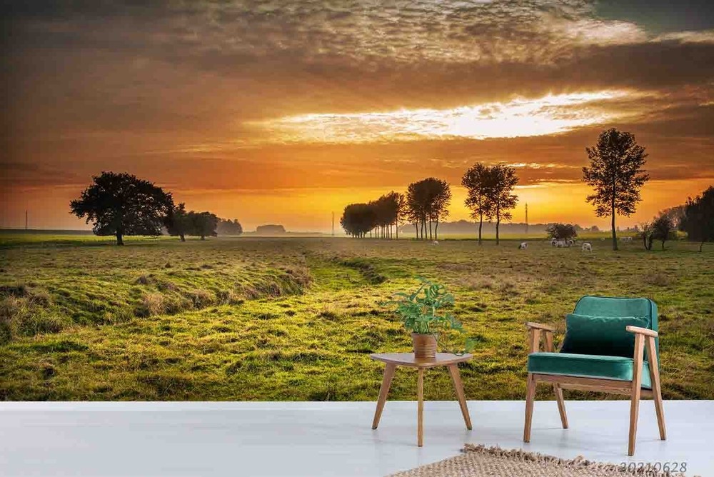 3D Grassland Tree Sunset Landscape Wall Murals Wallpaper Murals Wall Sticker