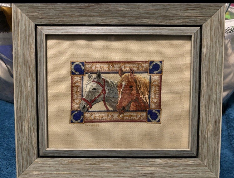 Horse Cross Stitch Kit in Frame Vintage  12”x14”