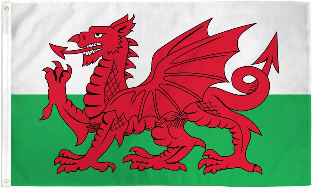 Wales 3x5ft Flag of Wales Welsh Flag 3x5 House Flag 100D FABRIC